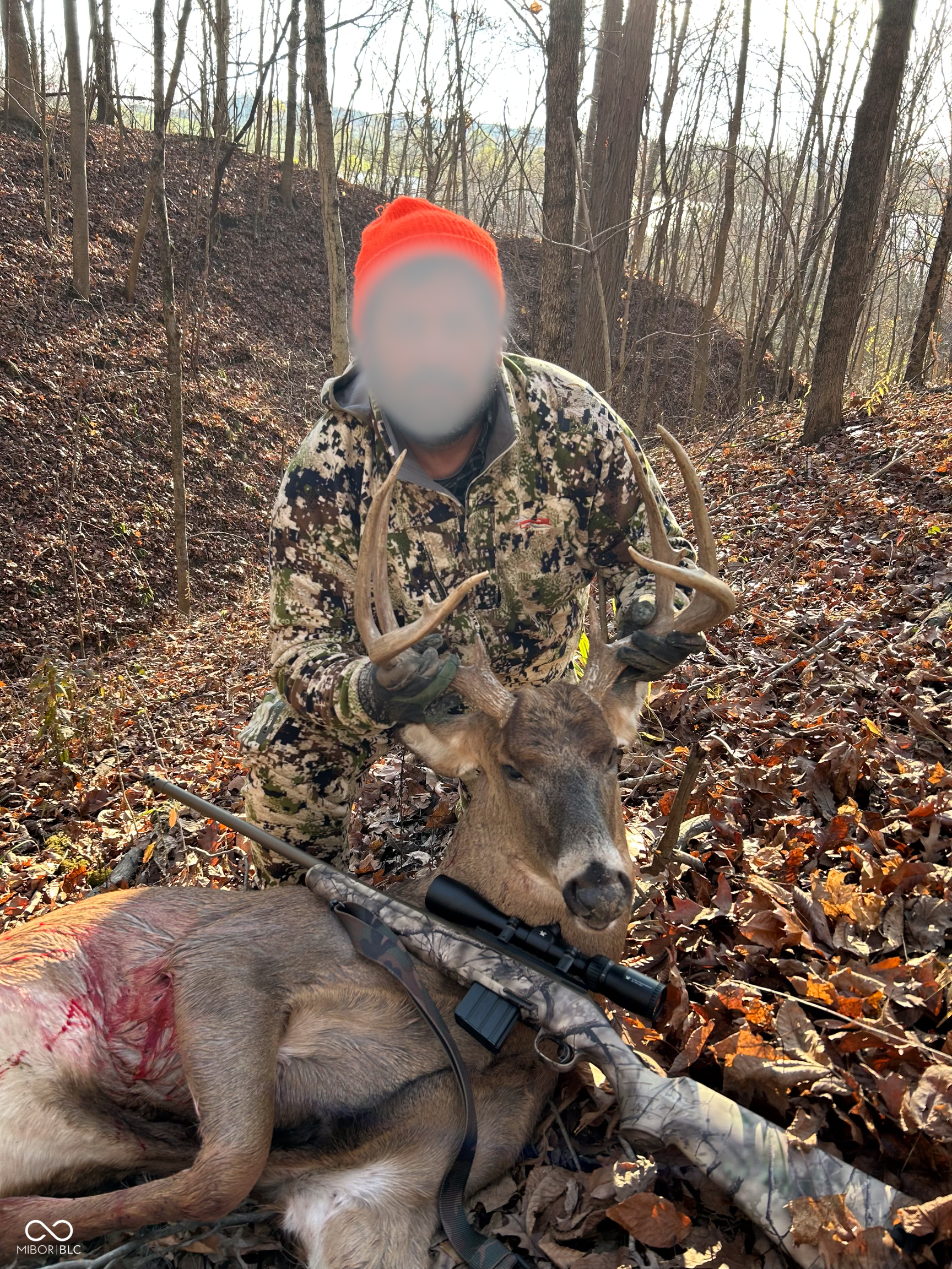 4259 Parkeville Road Rockville, IN 47872 - Photo 50 of 58