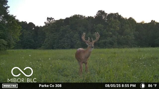 4259 Parkeville Road Rockville, IN 47872 - Photo 56 of 58