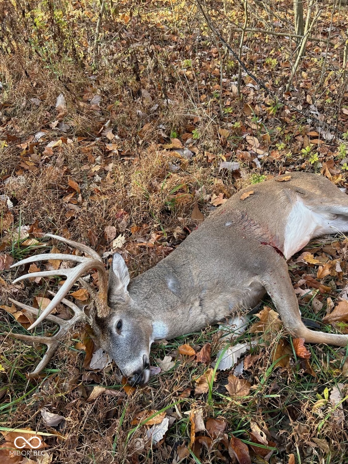 4259 Parkeville Road Rockville, IN 47872 - Photo 57 of 58