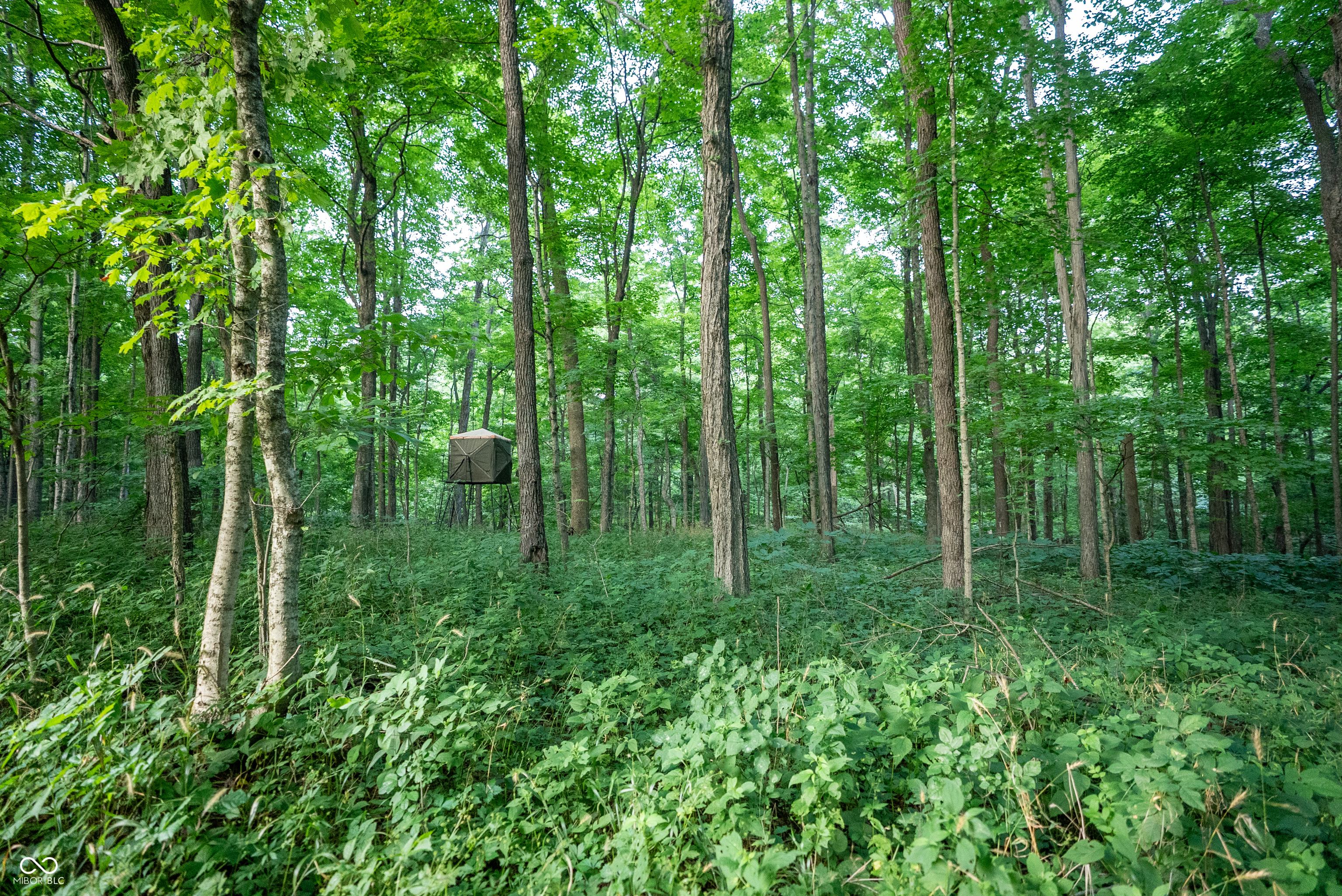 4259 Parkeville Road Rockville, IN 47872 - Photo 7 of 58