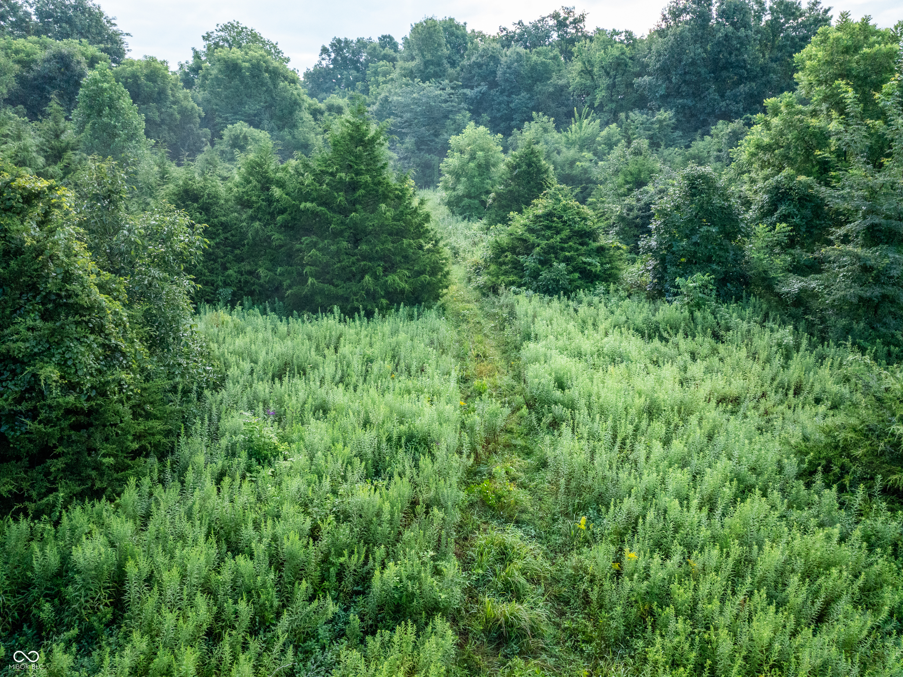 4259 Parkeville Road Rockville, IN 47872 - Photo 10 of 58