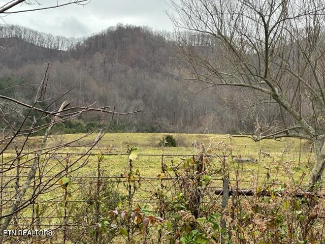 186 Blair Road Dryden, VA 24243 - Photo 12 of 30 IMG_7221