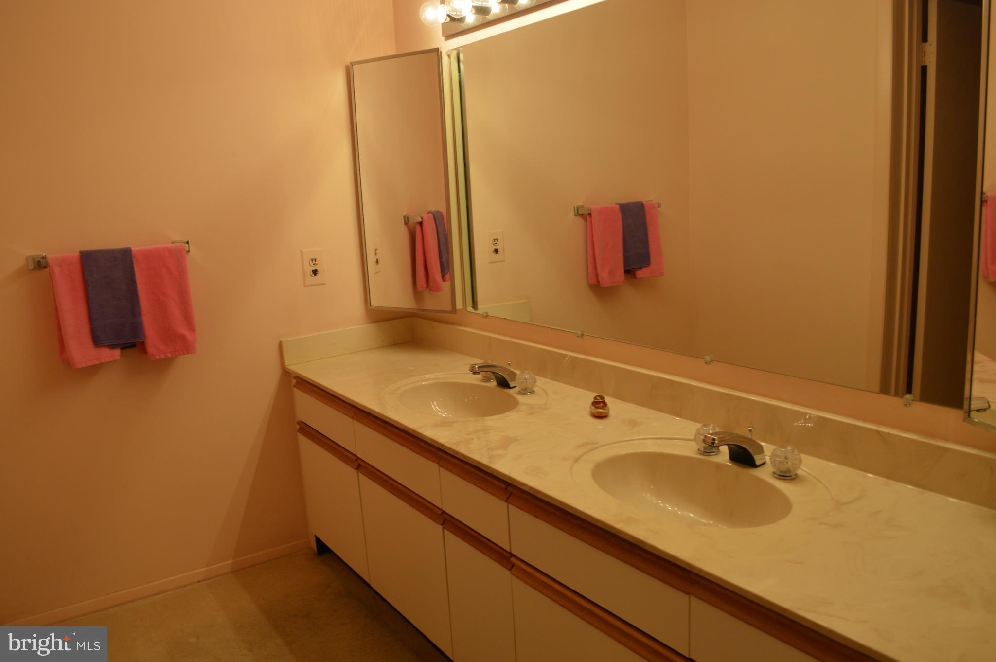 3021 Fallstaff Road, Unit 202B Baltimore, MD 21209 - Photo 20 of 24 Bath (Master)