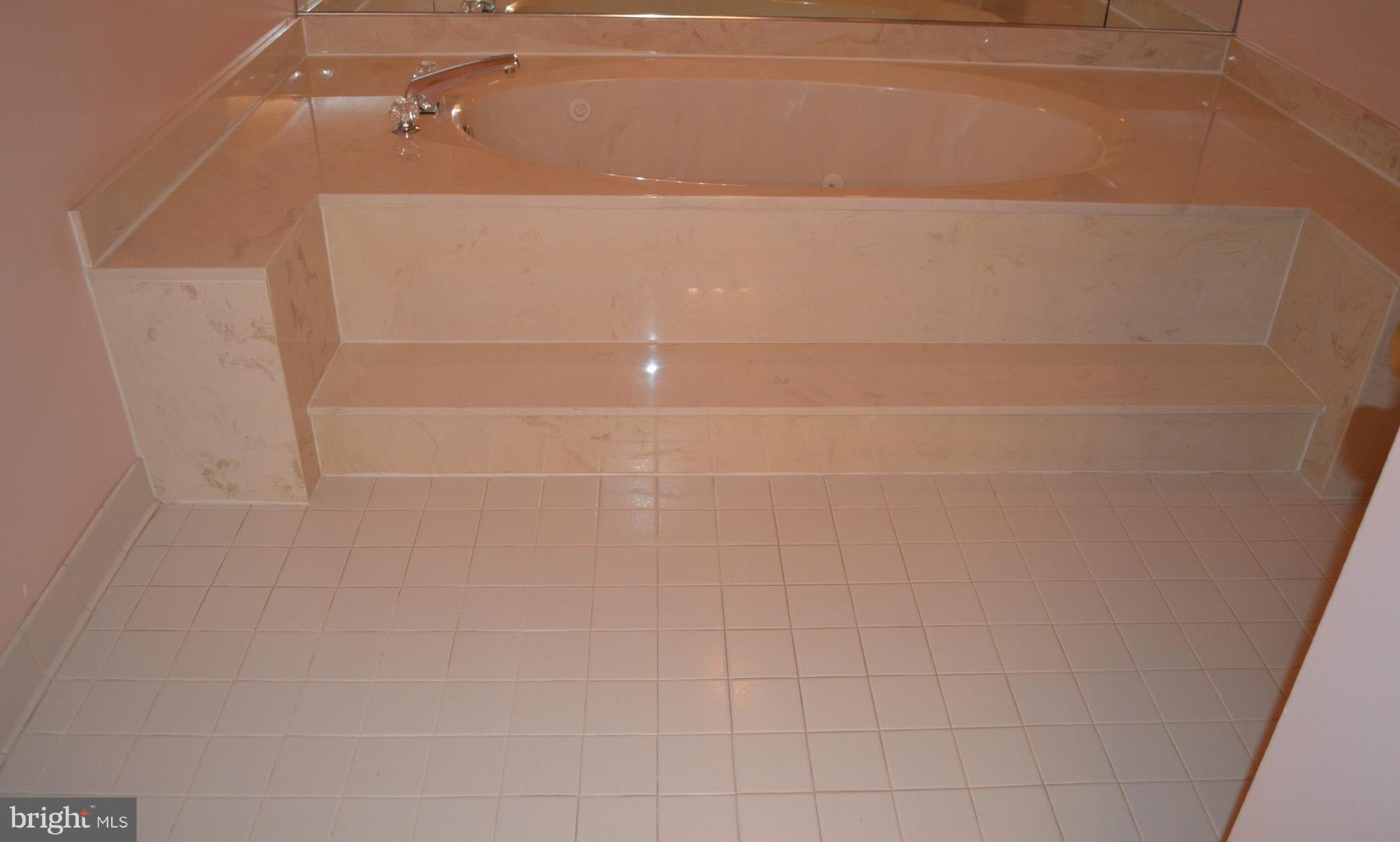 3021 Fallstaff Road, Unit 202B Baltimore, MD 21209 - Photo 22 of 24 Bath (Master)