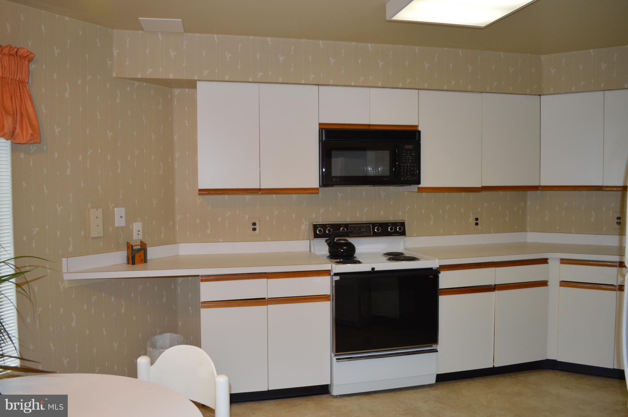 3021 Fallstaff Road, Unit 202B Baltimore, MD 21209 - Photo 4 of 24 Kitchen