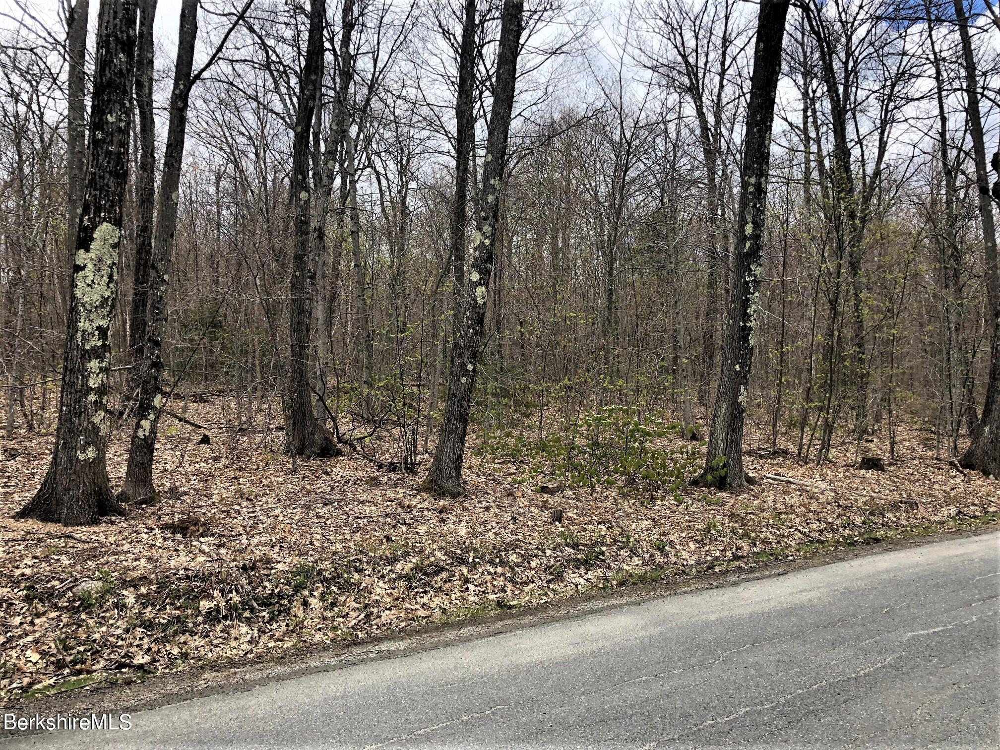 0 Church Road Drury, MA 01343 - Photo 1 of 8 Primary