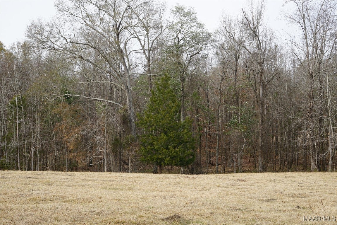 2434 Peake Road Ramer, AL 36069 - Photo 19 of 24 Gallery Image 19