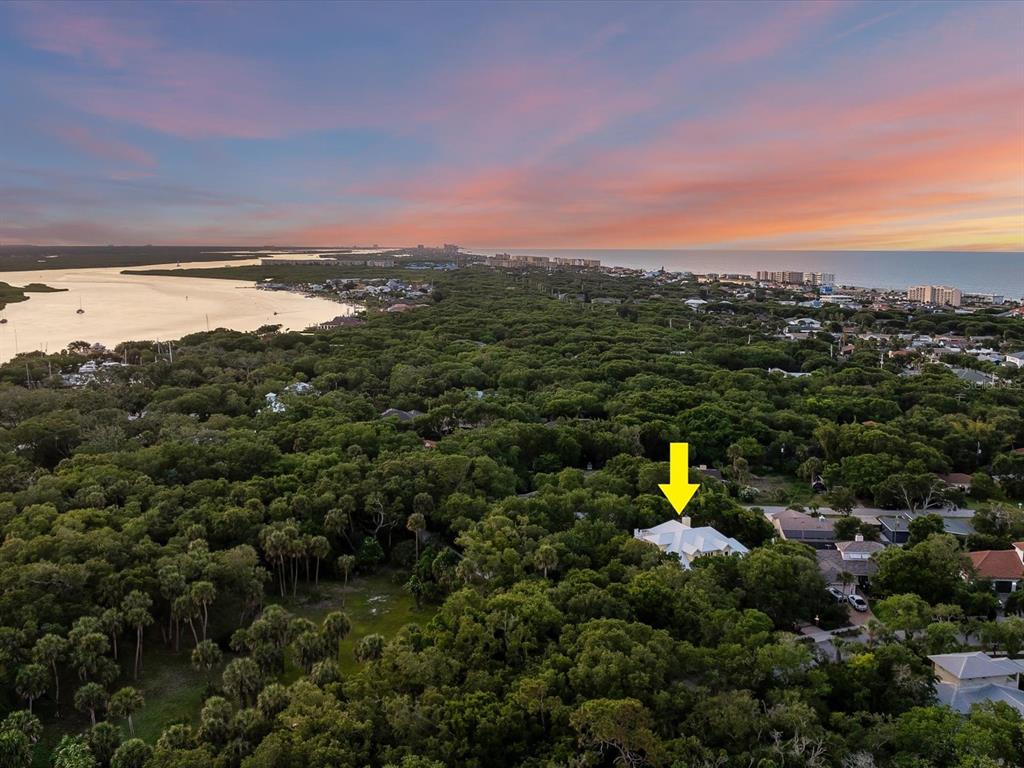 110 Ocean Way Drive Ponce Inlet, FL 32127 - Photo 95 of 97