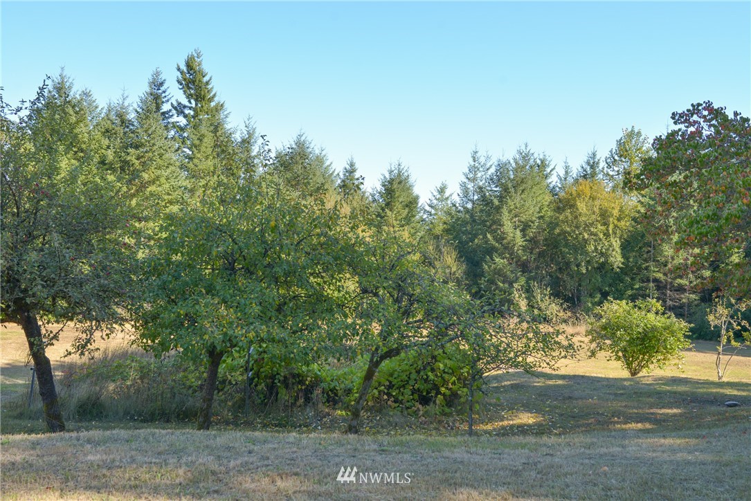 4673 Julian Road Southwest Port Orchard, WA 98367 - Photo 4 of 24 Gallery Image 4