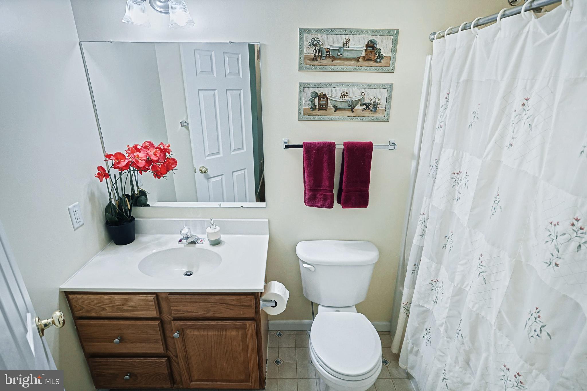 56 Sara Lane Hanover, PA 17331 - Photo 22 of 34 Main Bathroom