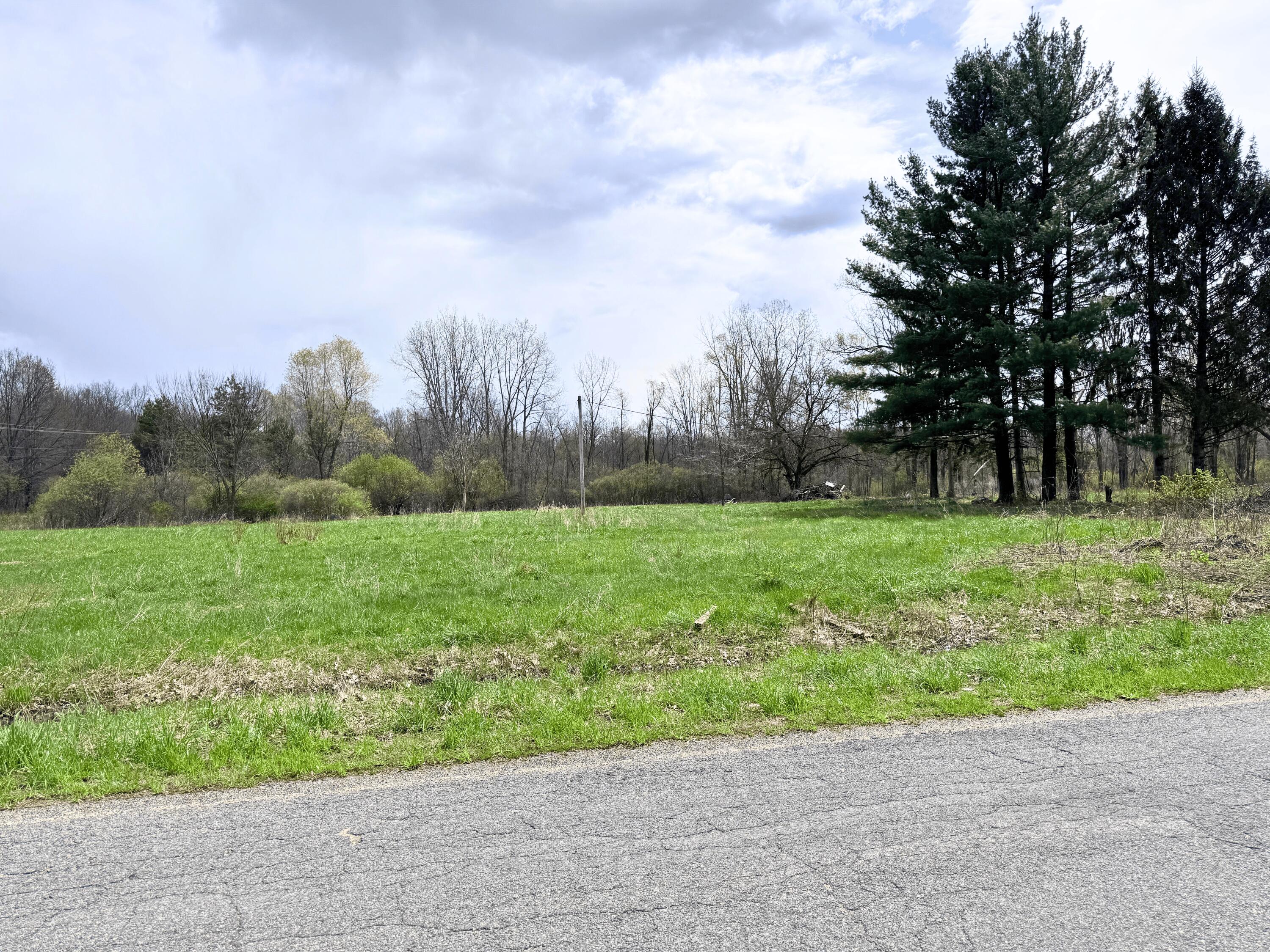 52151 Finch Road Marcellus, MI 49067 - Photo 4 of 10 1063