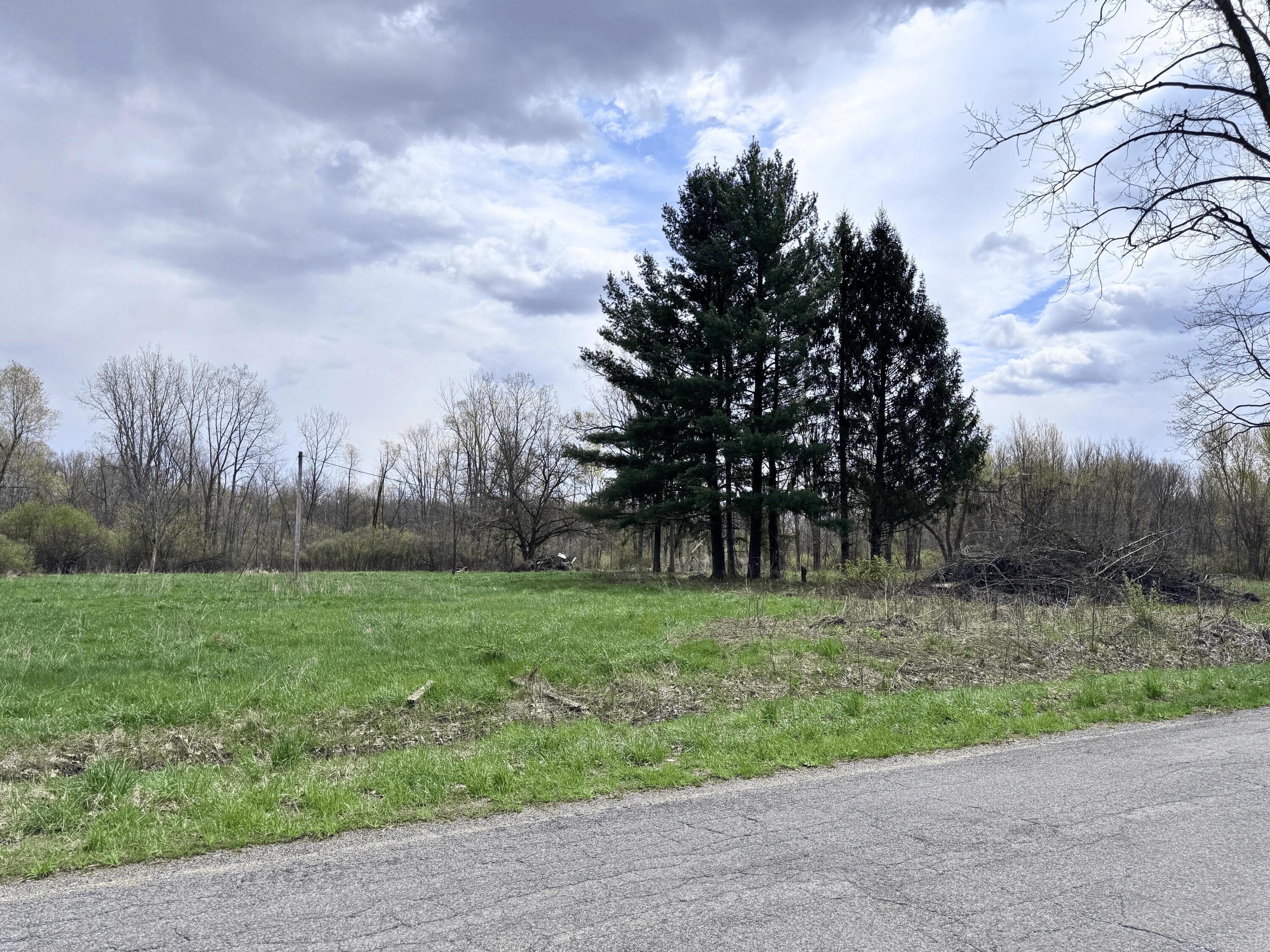 52151 Finch Road Marcellus, MI 49067 - Photo 5 of 10 1064