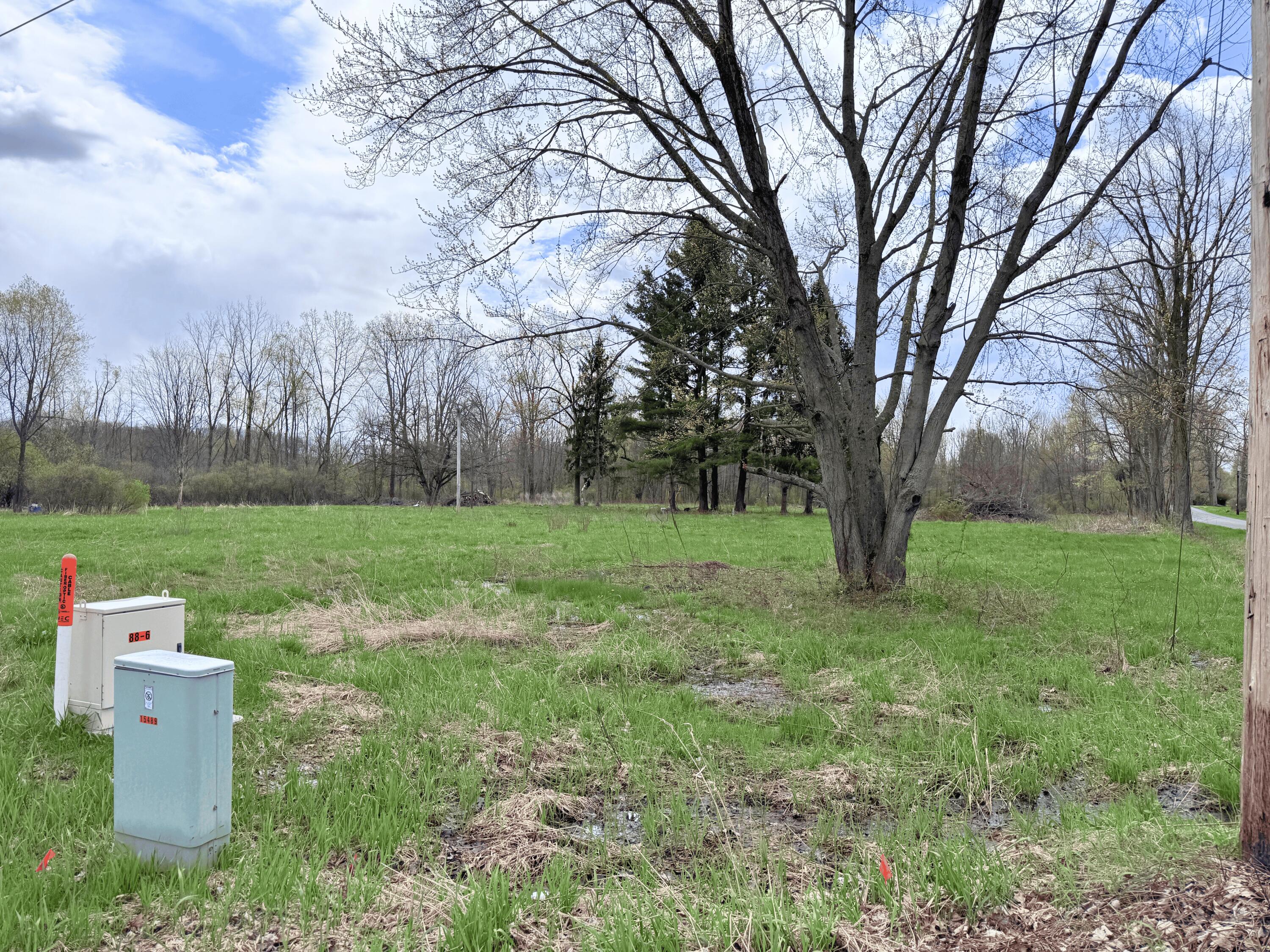 52151 Finch Road Marcellus, MI 49067 - Photo 8 of 10 1061