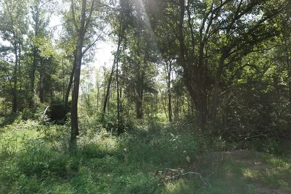 $129,900 | 0 Fm 542, Oakwood, TX 75855