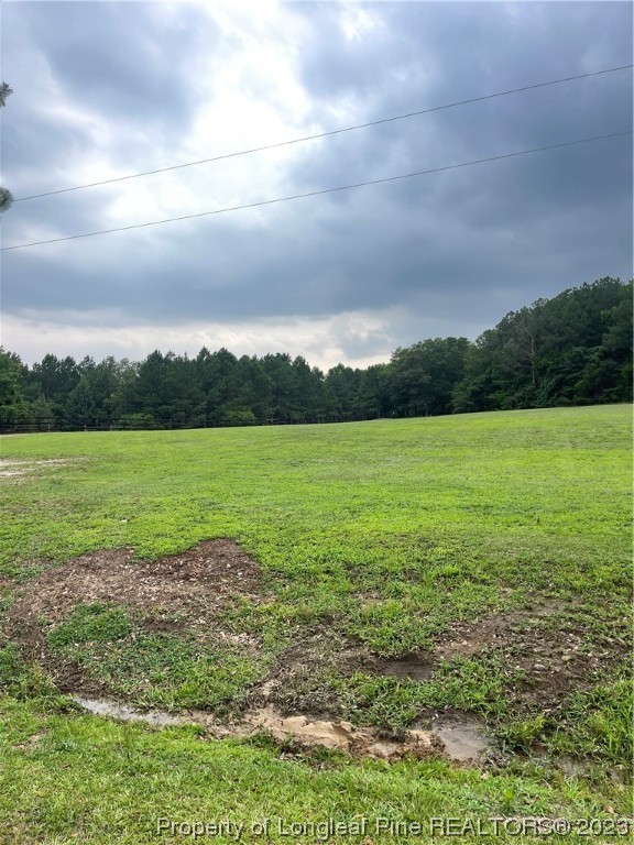 554 McNeil Mill Road Broadway, NC 27505 - Photo 1 of 3 Gallery Image 1