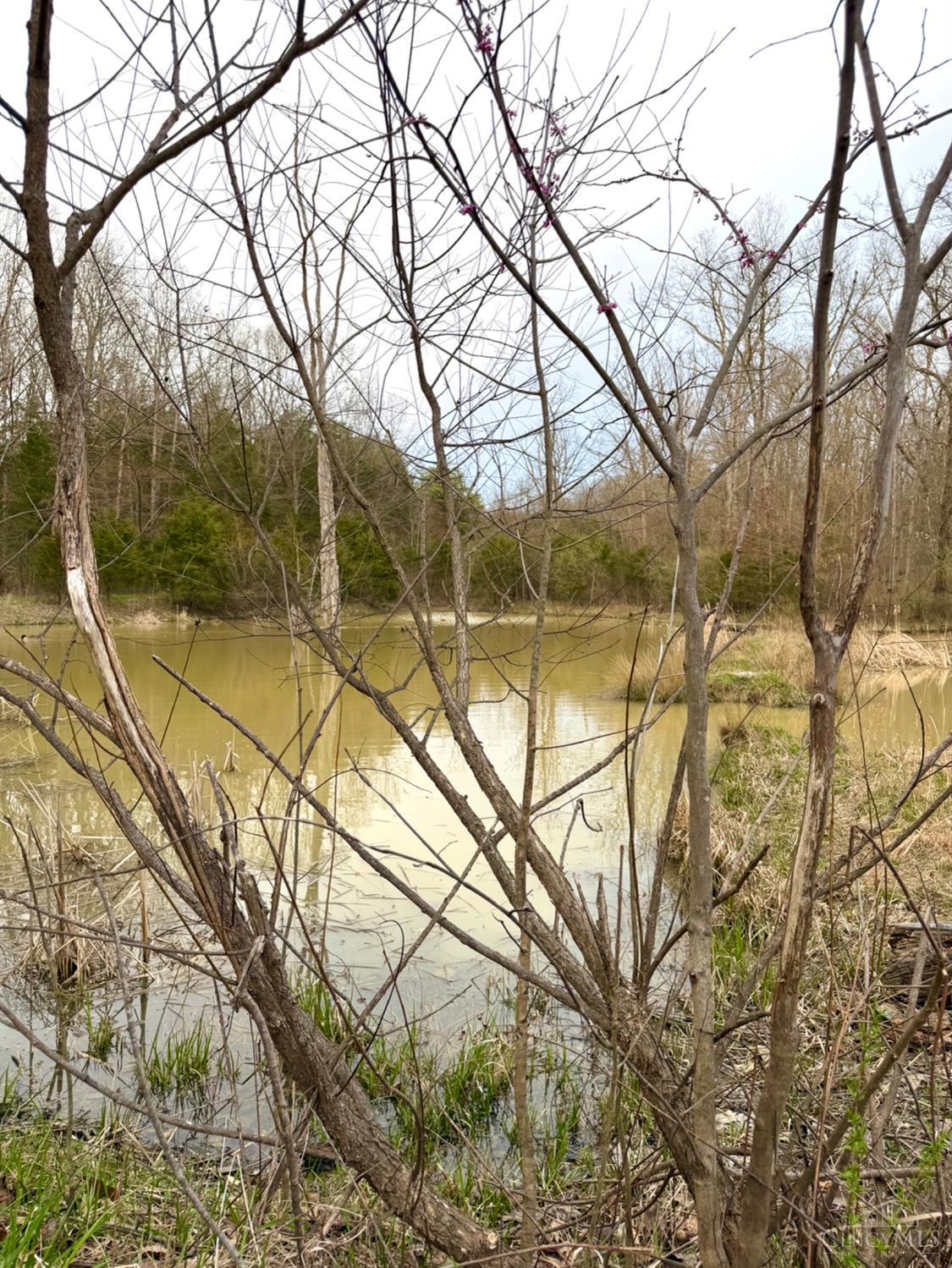1600 Magee Jones Road Peebles, OH 45660 - Photo 24 of 91