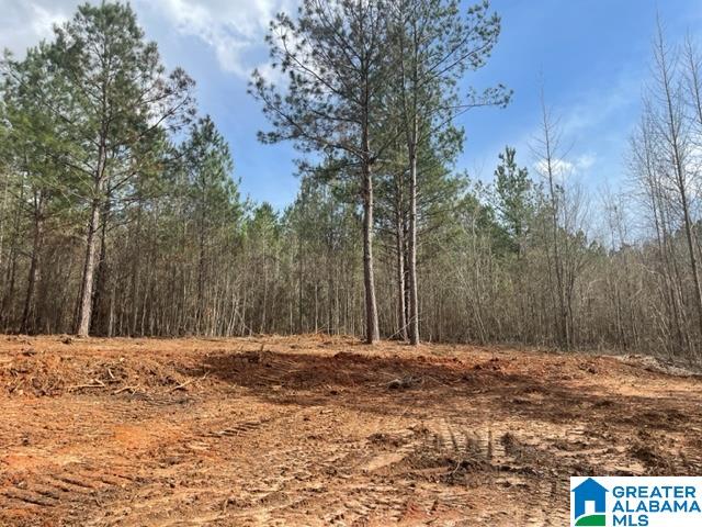 0 County Road 158, Unit 1 Lafayette, AL 36862 - Photo 16 of 19