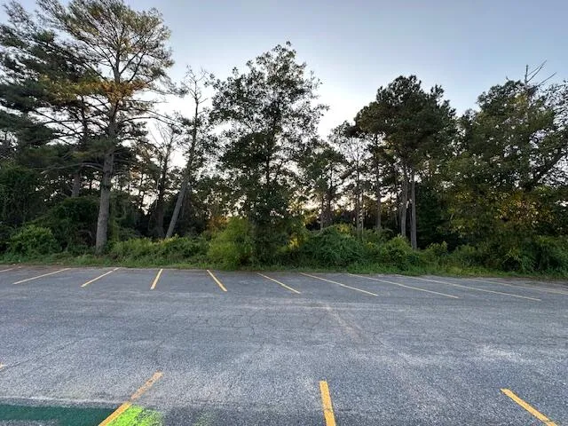 a view of outdoor space with trees