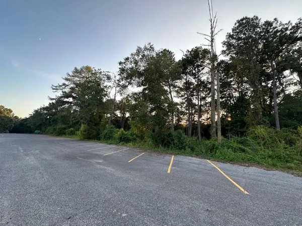 a view of a field with trees in the background