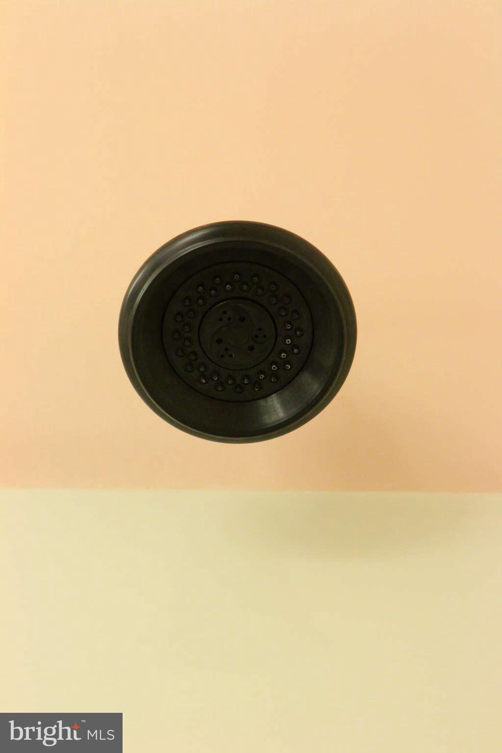 9511 Sweet Grass Ridge Columbia, MD 21046 - Photo 21 of 30 Rain Shower Head in second bath