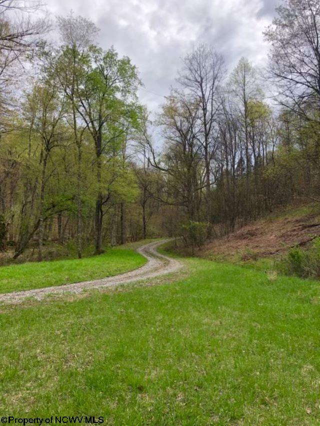 Midvale Lantz Ellamore, WV 26267 - Photo 4 of 13 Gallery Image 4