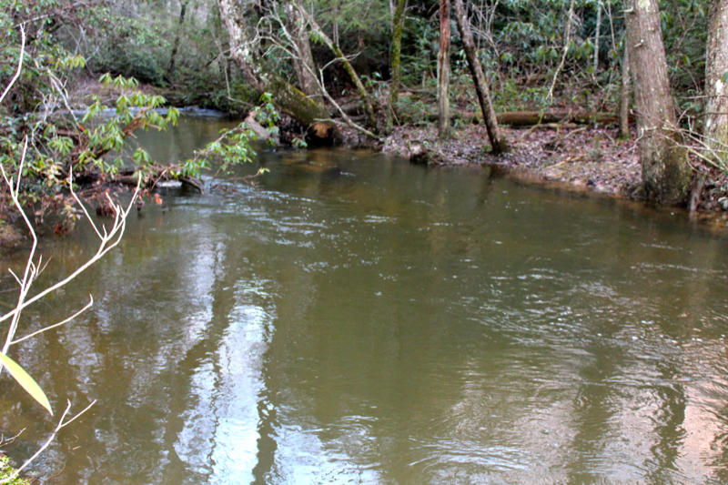 Meister Hils Road Deer Lodge, TN 37726 - Photo 1 of 40 IMG_0716_800x533