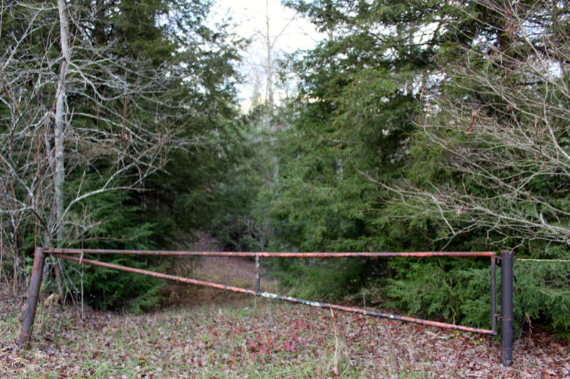 Meister Hils Road Deer Lodge, TN 37726 - Photo 2 of 40 IMG_0662_800x533