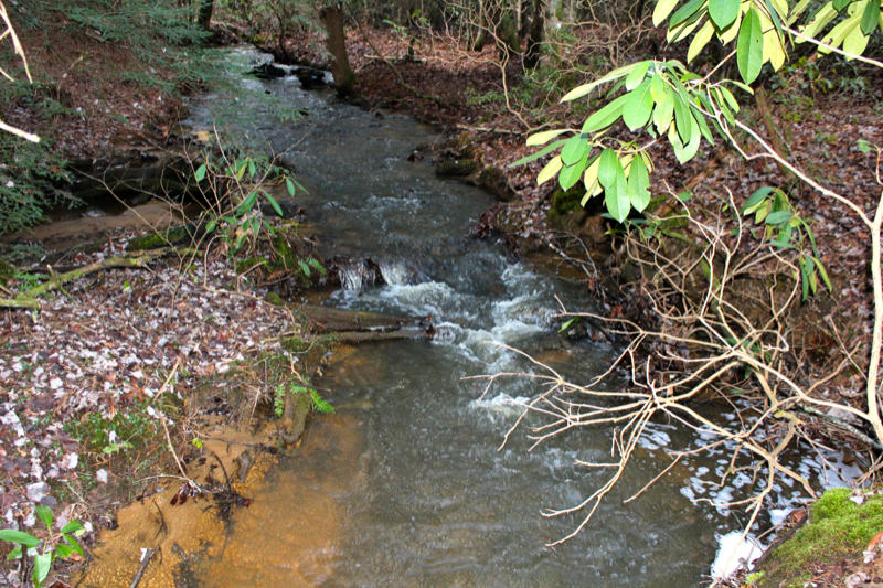 Meister Hils Road Deer Lodge, TN 37726 - Photo 11 of 40 IMG_0677_800x533