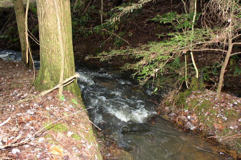 Meister Hils Road Deer Lodge, TN 37726 - Photo 12 of 40 IMG_0679_800x533