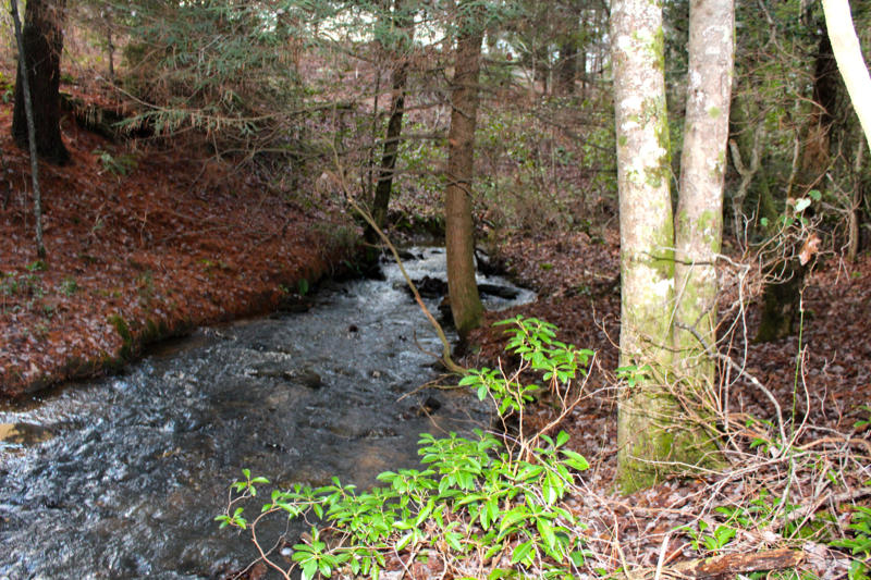 Meister Hils Road Deer Lodge, TN 37726 - Photo 13 of 40 IMG_0680_800x533