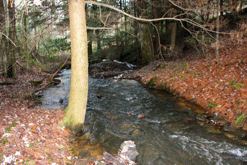 Meister Hils Road Deer Lodge, TN 37726 - Photo 16 of 40 IMG_0687_800x533