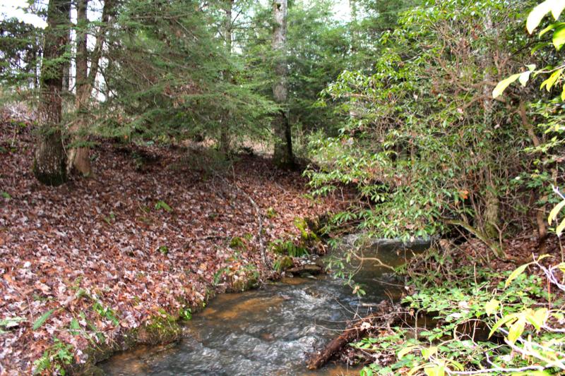 Meister Hils Road Deer Lodge, TN 37726 - Photo 18 of 40 IMG_0690_800x533