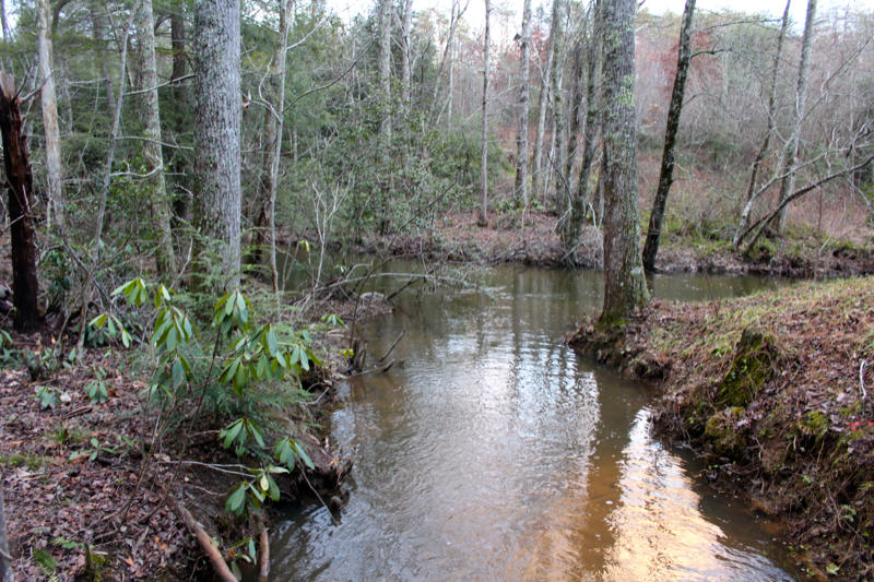 Meister Hils Road Deer Lodge, TN 37726 - Photo 20 of 40 IMG_0702_800x533