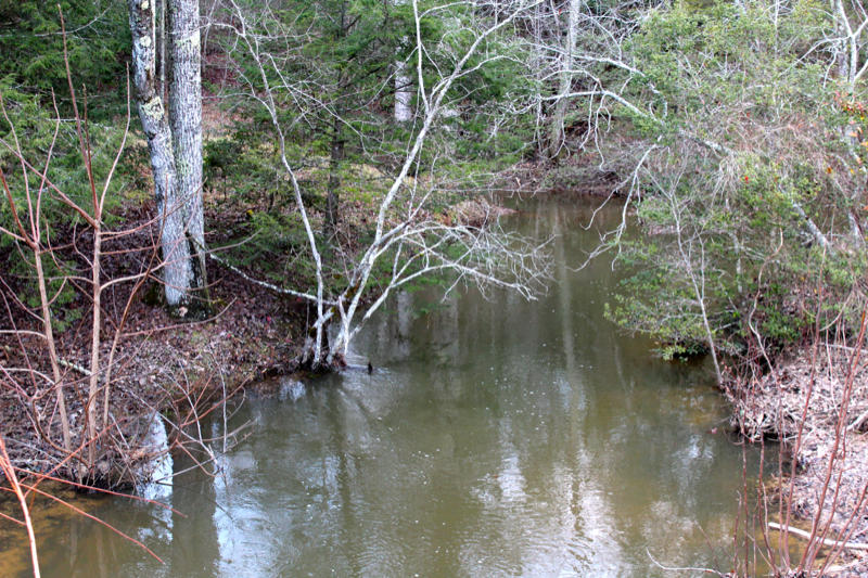 Meister Hils Road Deer Lodge, TN 37726 - Photo 3 of 40 IMG_0664_800x533