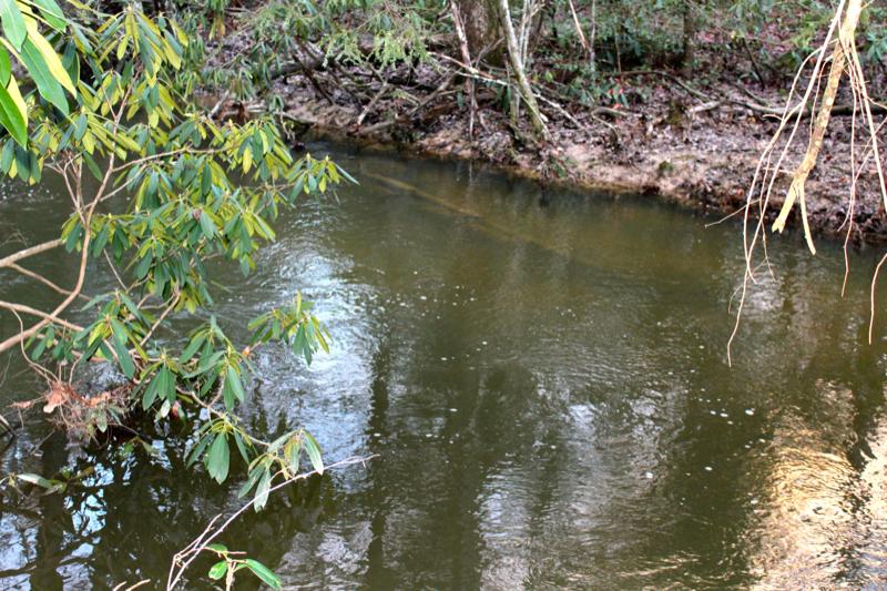 Meister Hils Road Deer Lodge, TN 37726 - Photo 21 of 40 IMG_0703_800x533
