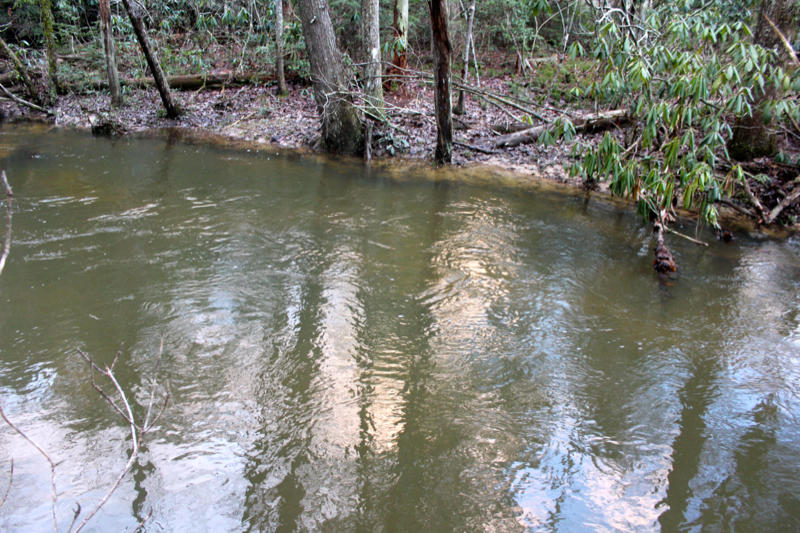 Meister Hils Road Deer Lodge, TN 37726 - Photo 22 of 40 IMG_0707_800x533