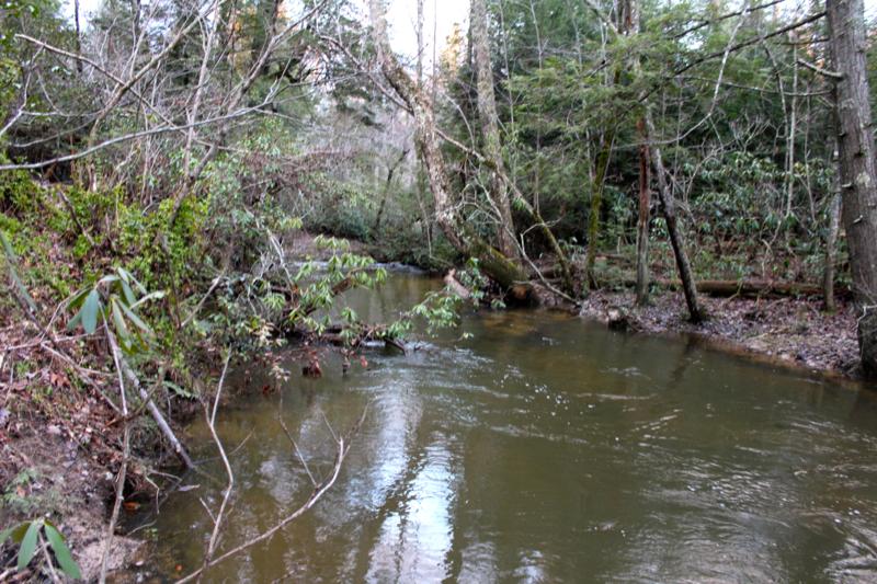 Meister Hils Road Deer Lodge, TN 37726 - Photo 23 of 40 IMG_0709_800x533