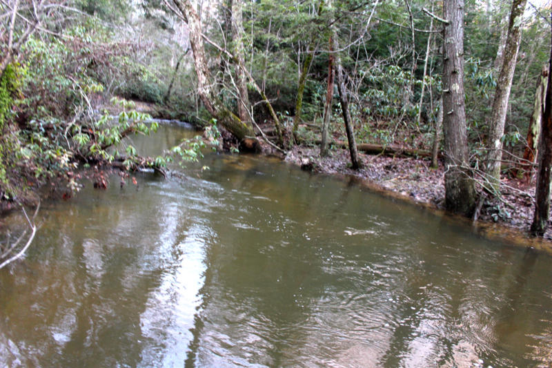 Meister Hils Road Deer Lodge, TN 37726 - Photo 24 of 40 IMG_0710_800x533
