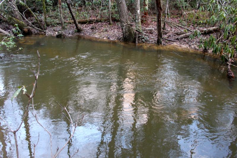 Meister Hils Road Deer Lodge, TN 37726 - Photo 25 of 40 IMG_0714_800x533