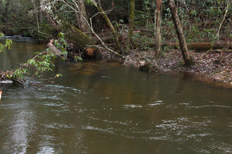 Meister Hils Road Deer Lodge, TN 37726 - Photo 27 of 40 IMG_0718_800x533