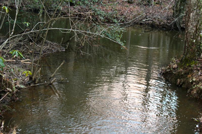 Meister Hils Road Deer Lodge, TN 37726 - Photo 28 of 40 IMG_0721_800x533