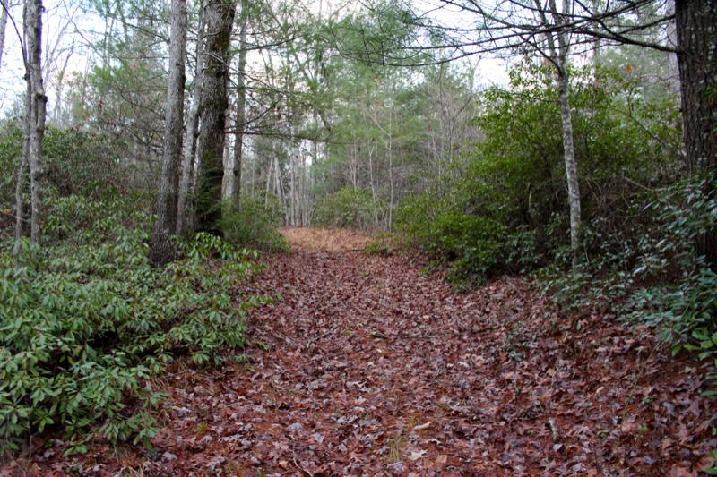 Meister Hils Road Deer Lodge, TN 37726 - Photo 29 of 40 IMG_0724_800x533