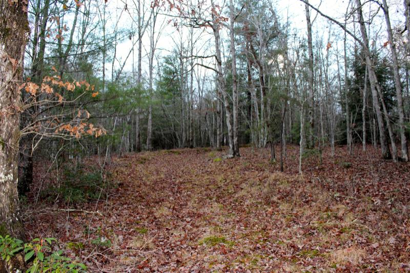 Meister Hils Road Deer Lodge, TN 37726 - Photo 30 of 40 IMG_0726_800x533