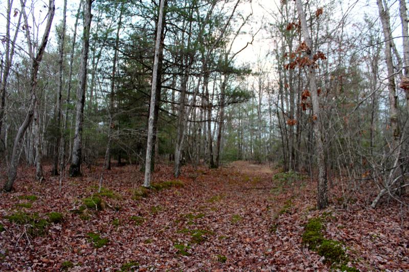 Meister Hils Road Deer Lodge, TN 37726 - Photo 31 of 40 IMG_0731_800x533