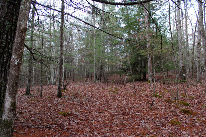 Meister Hils Road Deer Lodge, TN 37726 - Photo 32 of 40 IMG_0732_800x533