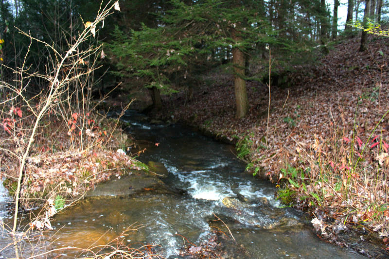 Meister Hils Road Deer Lodge, TN 37726 - Photo 39 of 40 IMG_0754_800x533
