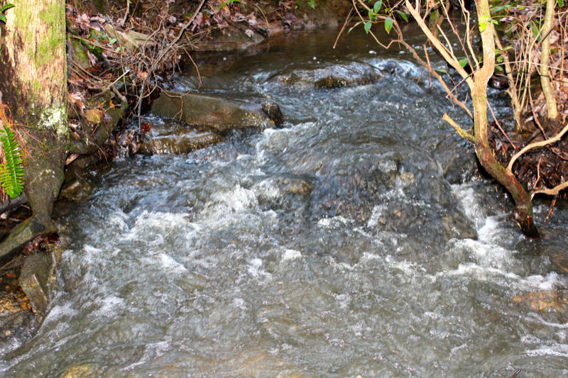 Meister Hils Road Deer Lodge, TN 37726 - Photo 40 of 40 IMG_0693_800x533