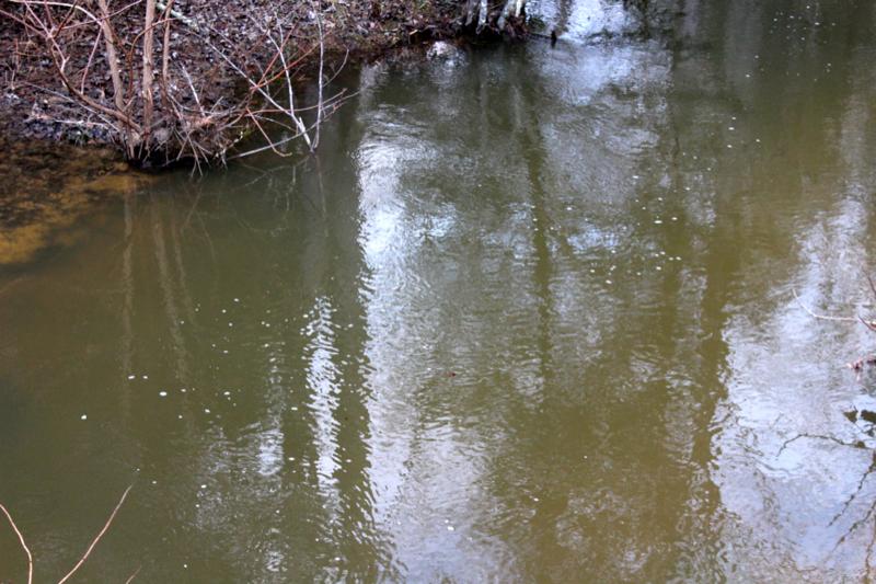 Meister Hils Road Deer Lodge, TN 37726 - Photo 5 of 40 IMG_0665_800x533