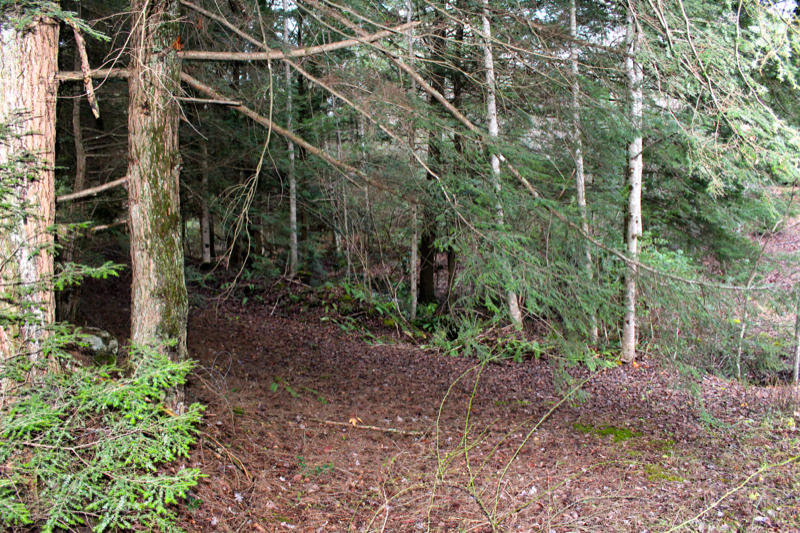Meister Hils Road Deer Lodge, TN 37726 - Photo 6 of 40 IMG_0668_800x533