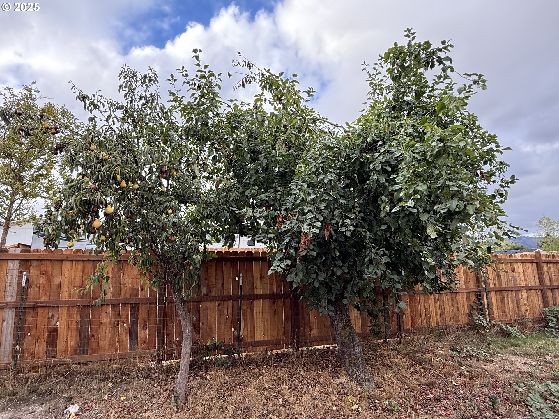 271 Southeast Robinson Street Winston, OR 97496 - Photo 11 of 20